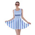 Vertical Stripes - White and Cornflower Blue Skater Dress
