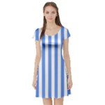 Vertical Stripes - White and Cornflower Blue Short Sleeve Skater Dress