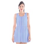 Vertical Stripes - White and Cornflower Blue Scoop Neck Skater Dress