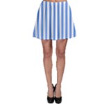 Vertical Stripes - White and Cornflower Blue Skater Skirt