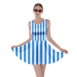 Vertical Stripes - White and Dodger Blue Skater Dress