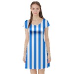 Vertical Stripes - White and Dodger Blue Short Sleeve Skater Dress