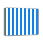 Vertical Stripes - White and Dodger Blue Deluxe Canvas 14  x 11  (Stretched)