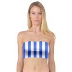 Vertical Stripes - White and Royal Blue Bandeau Top