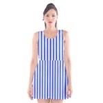 Vertical Stripes - White and Royal Blue Scoop Neck Skater Dress