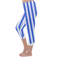 Capri Winter Leggings Back Capri Winter Leggings Back