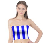Vertical Stripes - White and Blue Tube Top