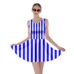Vertical Stripes - White and Blue Skater Dress