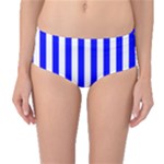 Vertical Stripes - White and Blue Mid-Waist Bikini Bottoms