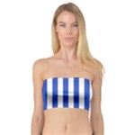 Vertical Stripes - White and Cerulean Blue Bandeau Top