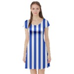 Vertical Stripes - White and Cerulean Blue Short Sleeve Skater Dress