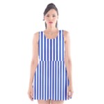 Vertical Stripes - White and Cerulean Blue Scoop Neck Skater Dress