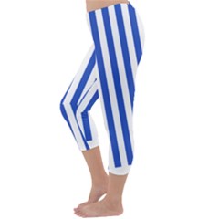 Capri Winter Leggings Back Capri Winter Leggings Back