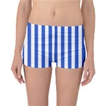 Vertical Stripes - White and Cerulean Blue Reversible Boyleg Bikini Bottoms