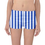 Vertical Stripes - White and Cerulean Blue Boyleg Bikini Bottoms