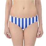 Vertical Stripes - White and Cerulean Blue Hipster Bikini Bottoms