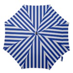Vertical Stripes - White and Cerulean Blue Hook Handle Umbrella (Large)