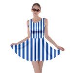 Vertical Stripes - White and Cobalt Blue Skater Dress