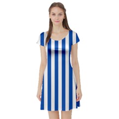 Short Sleeve Skater Dress Front
