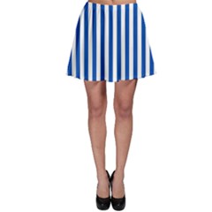 Skater Skirt 