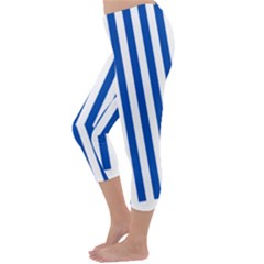 Capri Winter Leggings Back Capri Winter Leggings Back