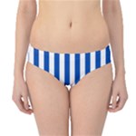 Vertical Stripes - White and Cobalt Blue Hipster Bikini Bottoms