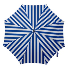 Hook Handle Umbrella (Large) 