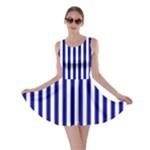 Vertical Stripes - White and Dark Blue Skater Dress