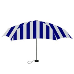 Mini Folding Umbrella 