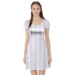 Vertical Stripes - White and Pastel Violet Short Sleeve Skater Dress