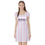 Vertical Stripes - White and Pale Thistle Violet Short Sleeve Skater Dress