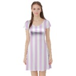 Vertical Stripes - White and Thistle Violet Short Sleeve Skater Dress
