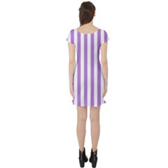Short Sleeve Skater Dress Back