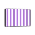 Mini Canvas 6  x 4  (Stretched) 
