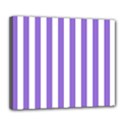 Deluxe Canvas 24  x 20  (Stretched) 