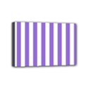 Mini Canvas 6  x 4  (Stretched) 