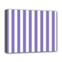 Deluxe Canvas 20  x 16  (Stretched) 