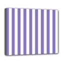 Deluxe Canvas 24  x 20  (Stretched) 