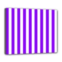 Deluxe Canvas 24  x 20  (Stretched) 