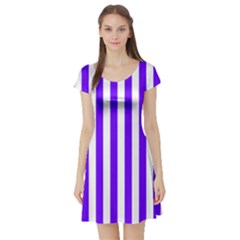 Short Sleeve Skater Dress Front