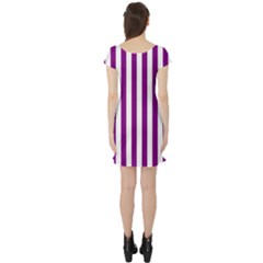 Short Sleeve Skater Dress Back