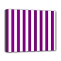 Deluxe Canvas 20  x 16  (Stretched) 