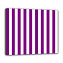 Deluxe Canvas 24  x 20  (Stretched) 