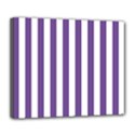 Deluxe Canvas 24  x 20  (Stretched) 