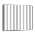 Deluxe Canvas 24  x 20  (Stretched) 