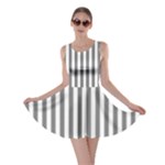 Vertical Stripes - White and Gray Skater Dress