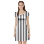 Vertical Stripes - White and Gray Short Sleeve Skater Dress