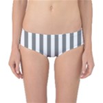 Vertical Stripes - White and Gray Classic Bikini Bottoms