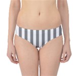 Vertical Stripes - White and Gray Hipster Bikini Bottoms