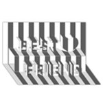 Vertical Stripes - White and Dark Gray Best Friends 3D Greeting Card (8x4)